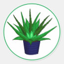 Search for aloe stickers Plant