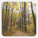 Search for laurel leaf stickers Nature