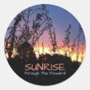 Search for sunrises stickers Dawn
