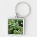 Search for dangerous animals key rings Close up