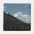 Search for peak magnets Trees