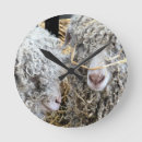 Search for goat clocks Funny