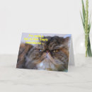 Search for funny resolution new years cards Humour