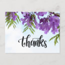 Search for purple tree postcards Jacaranda