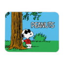 Search for alterative magnets Peanuts