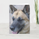 Search for german photography Canine