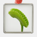 Search for goth christmas tree decorations Flower