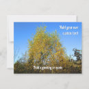 Search for colored leaf postcards Leaves
