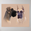 Search for great dane art Puppy