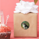 Search for kitten christmas stickers Kitty