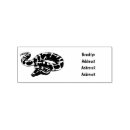 Search for python Pet