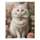 Search for angora Turkish angora cat