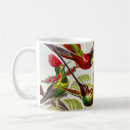 Search for vintage hummingbird mugs Kunstformen der natur