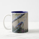 Search for bluebird mugs Wildlife