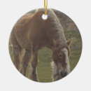 Search for draught christmas tree decorations Belgian