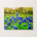 Search for texas bluebonnet Blue flowers