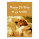 Search for funny brother postcards Animals