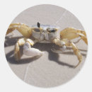Search for crabbing stickers Beach