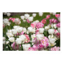 Search for tender art Design