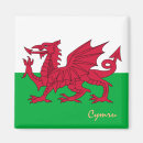 Search for cymru magnets Welsh flag