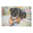 Search for bulldog pillowcases Pets