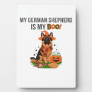Search for german shepherd photo display Weimaraner