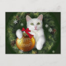 Search for merry catmas cards Pet