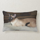 Search for siamese cat cushions Blue eyes