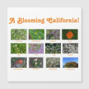 Search for square calendars Magnetic