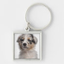 Search for merle key rings Animal