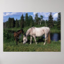 Search for maree posters Equestrian