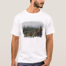 Search for bagan tshirts Architecture