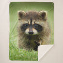 Search for raccoon blankets Racoon