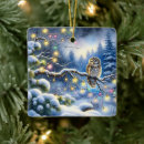 Search for owl christmas tree decorations Winter wonderland