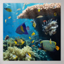 Search for red fish posters Aquarium