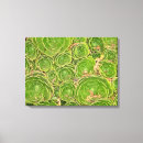 Search for new zealand canvas prints Environment