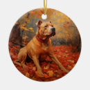 Search for pitbull christmas tree decorations Pet