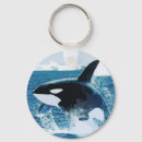 Search for orca key rings Illustration