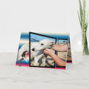 Search for greyhound cards Whippet