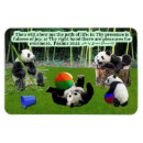 Search for panda face magnets China
