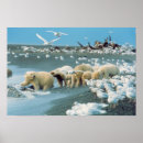 Search for interaction posters Nature