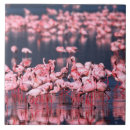 Search for flock tiles Flamingo