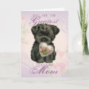 Search for toy monkey postcards Affenpinscher