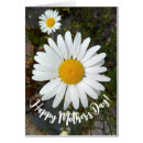 Search for daisy mothers day cards Floral