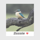 Search for australian birds stickers Kingfisher
