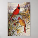 Search for vintage cardinals posters Birds