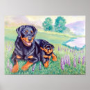 Search for rottweiler art Watercolor
