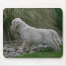 Search for flat coated retriever electronics Puppies