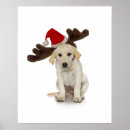 Search for christmas reindeer art Antlers