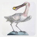 Search for engraver stickers Birds